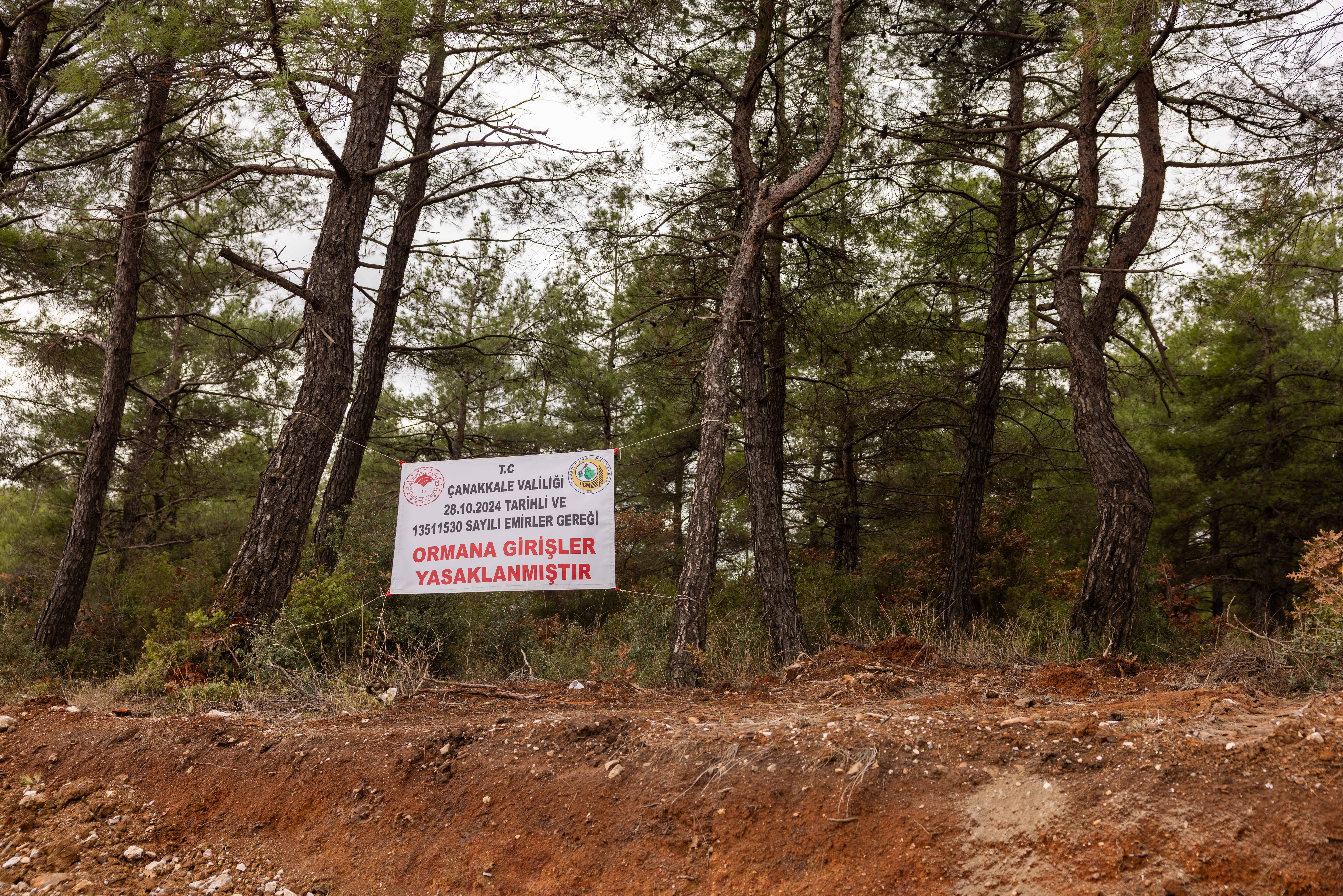 Foto haber: Kazdağları’na giriş yasağı hızarcıya uygulanmıyor!