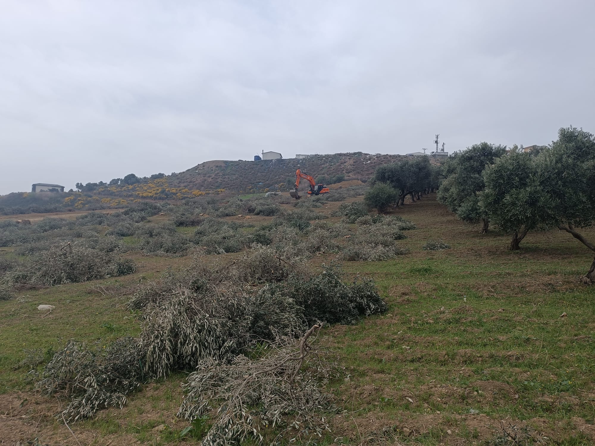 “Dikmece halkı mülksüzleştiriliyor, tapulu arazisini vermeyene tehdit ve gözaltı!”