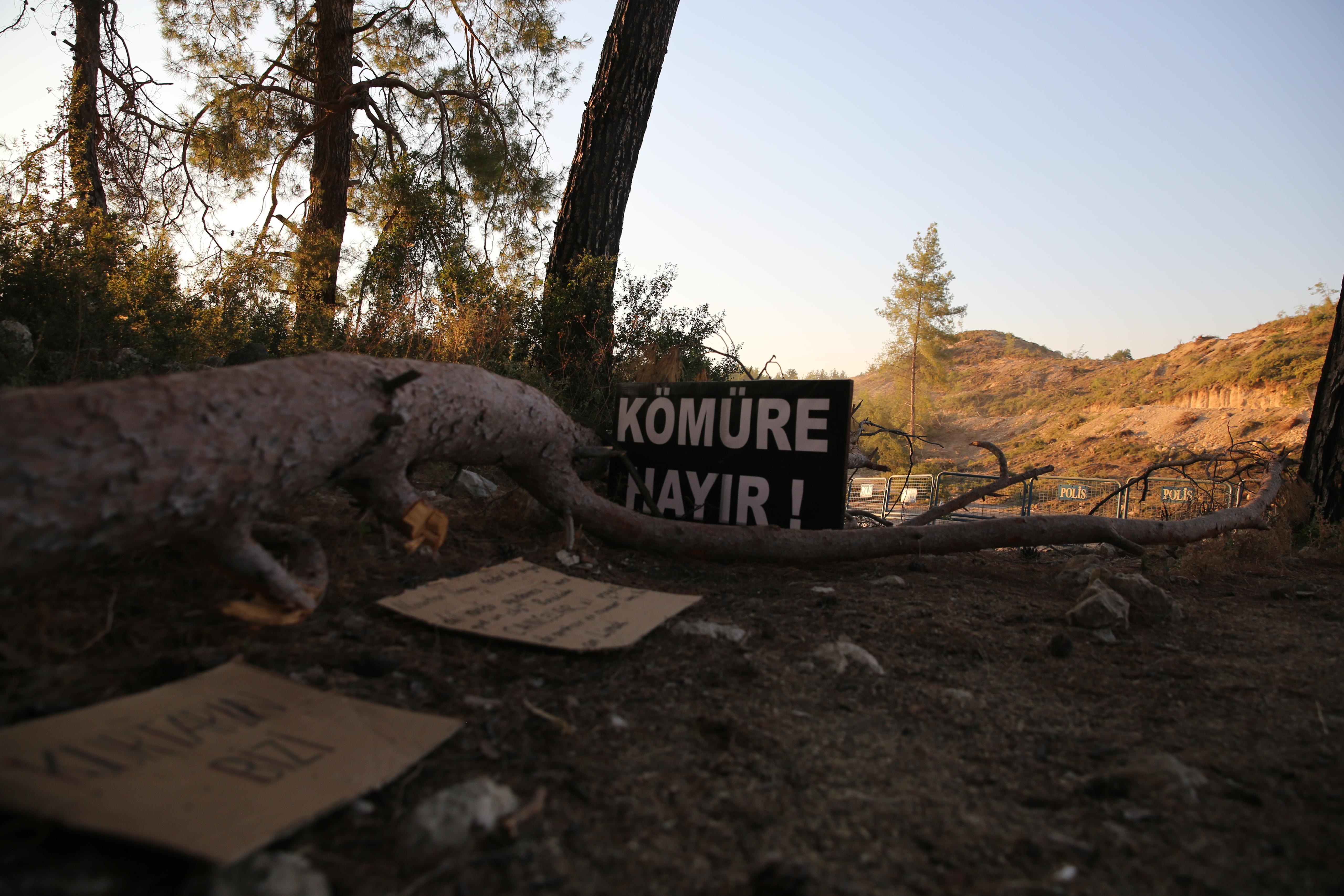 Zeytinlikler yok olurken köylüler neden TBMM’ye alınmıyor?