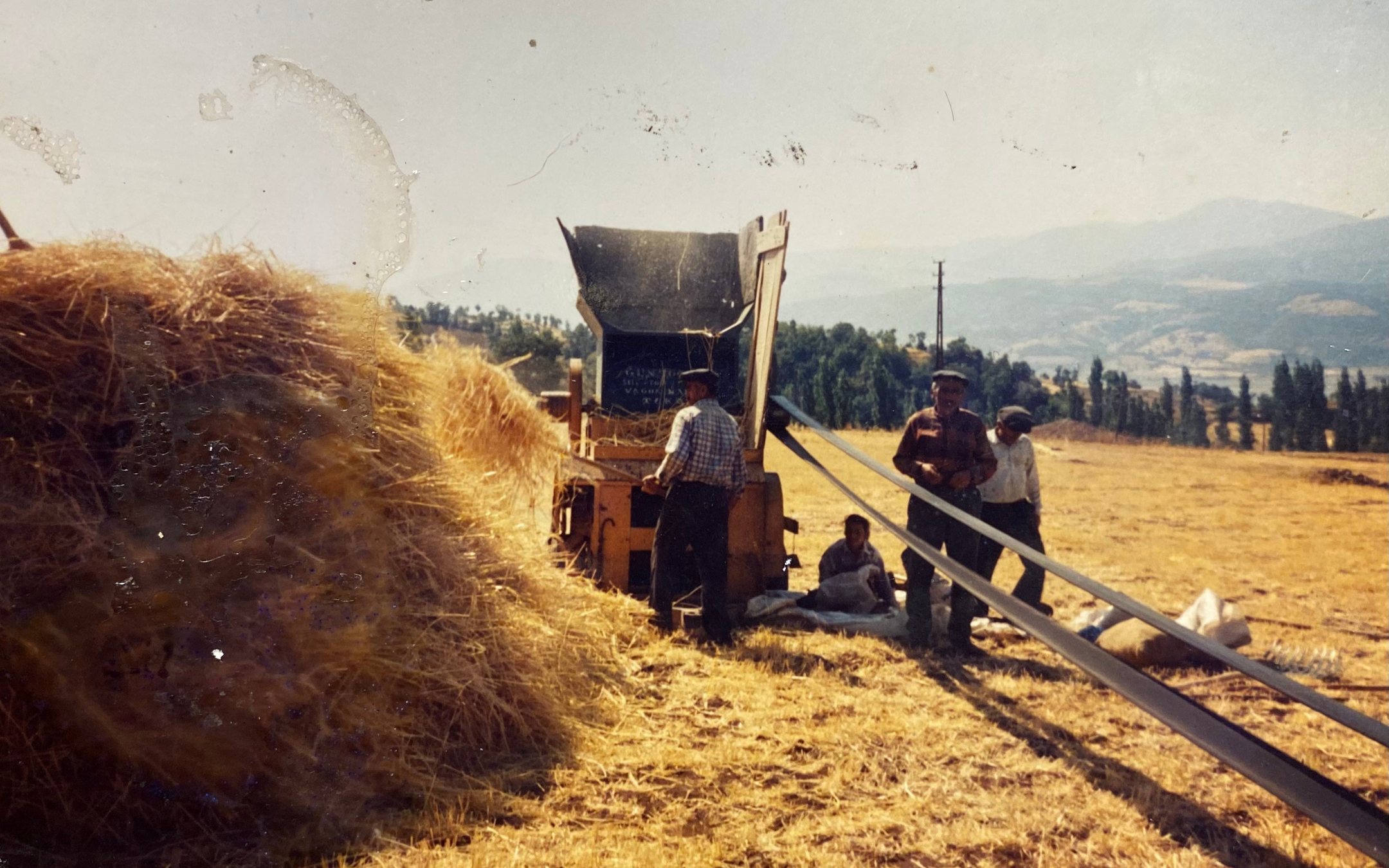 Kusurun hatırası ve dijital unutuş