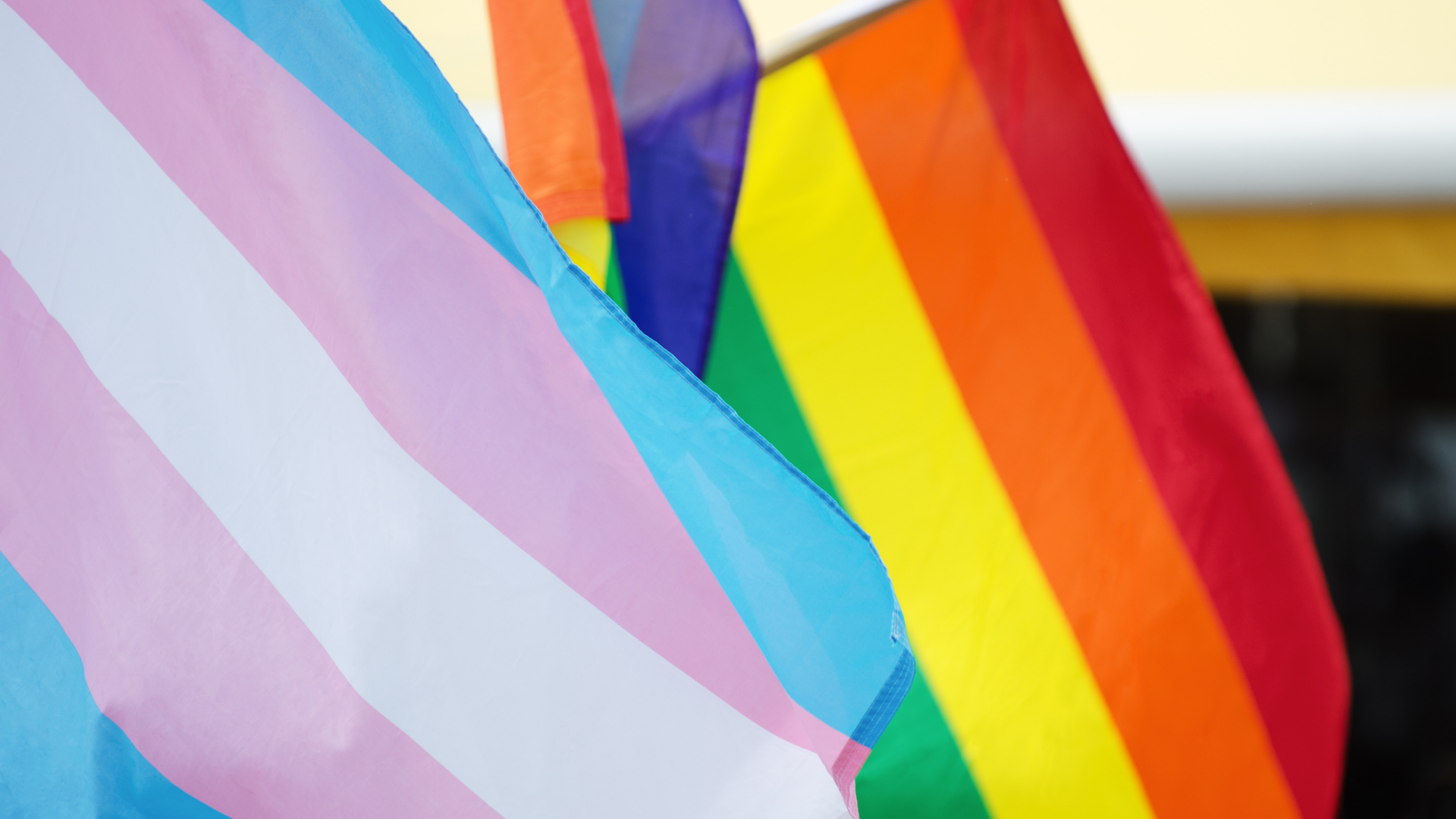 Transların bedeni siyasetçilerin oyun alanı değil”