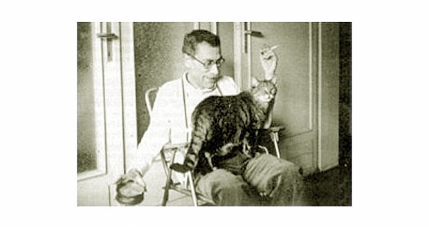 Katliam Yasası ve kolektif yasımız