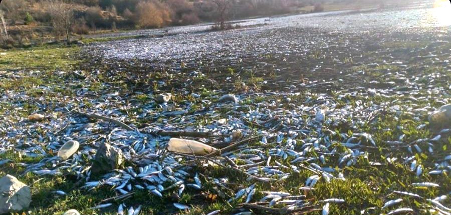 Gerede Çayı’nda kirlilik 357 kat arttı!