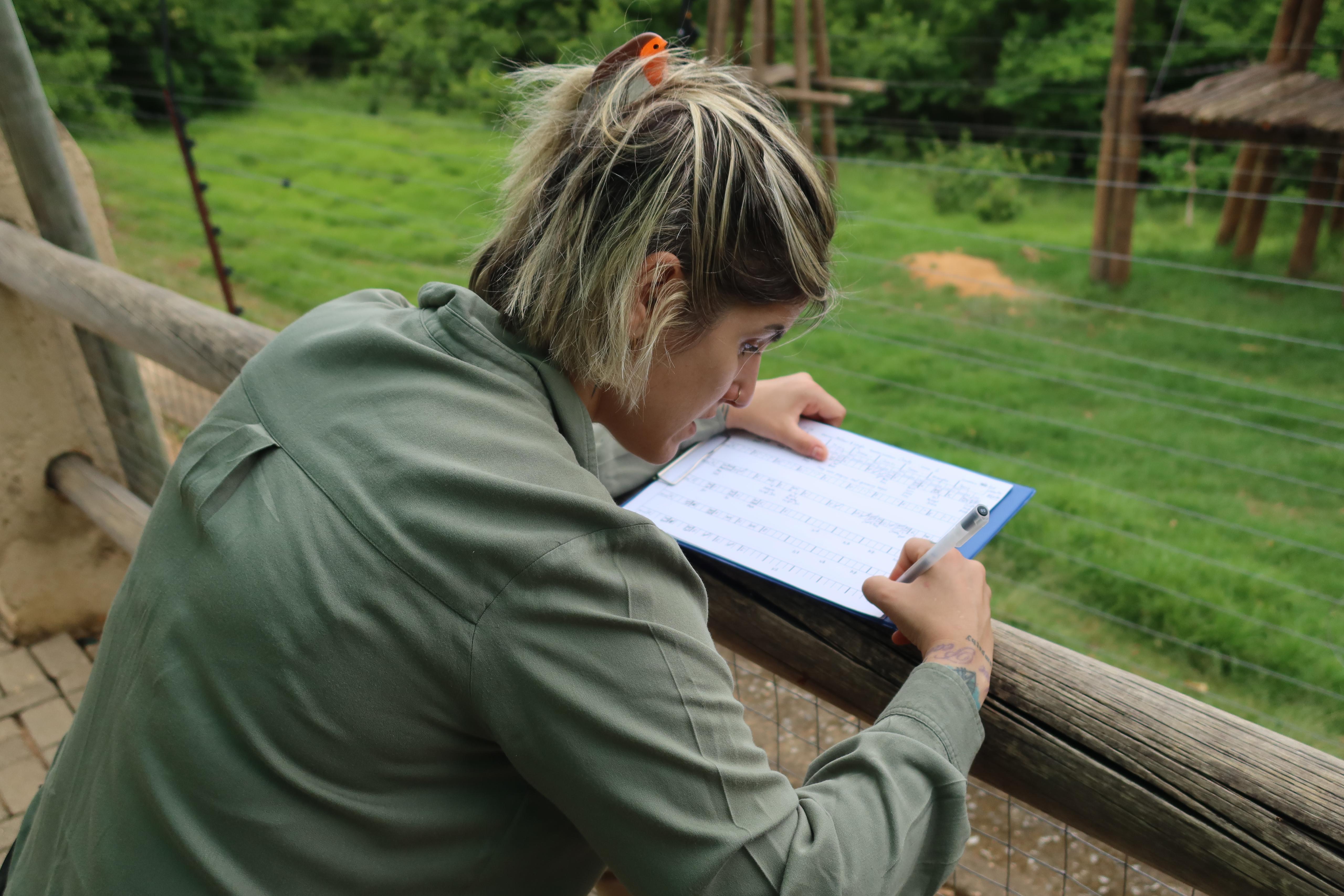 “Zeytin, iyiliği için türdeşleriyle rehabilitasyon merkezinde olmalı”