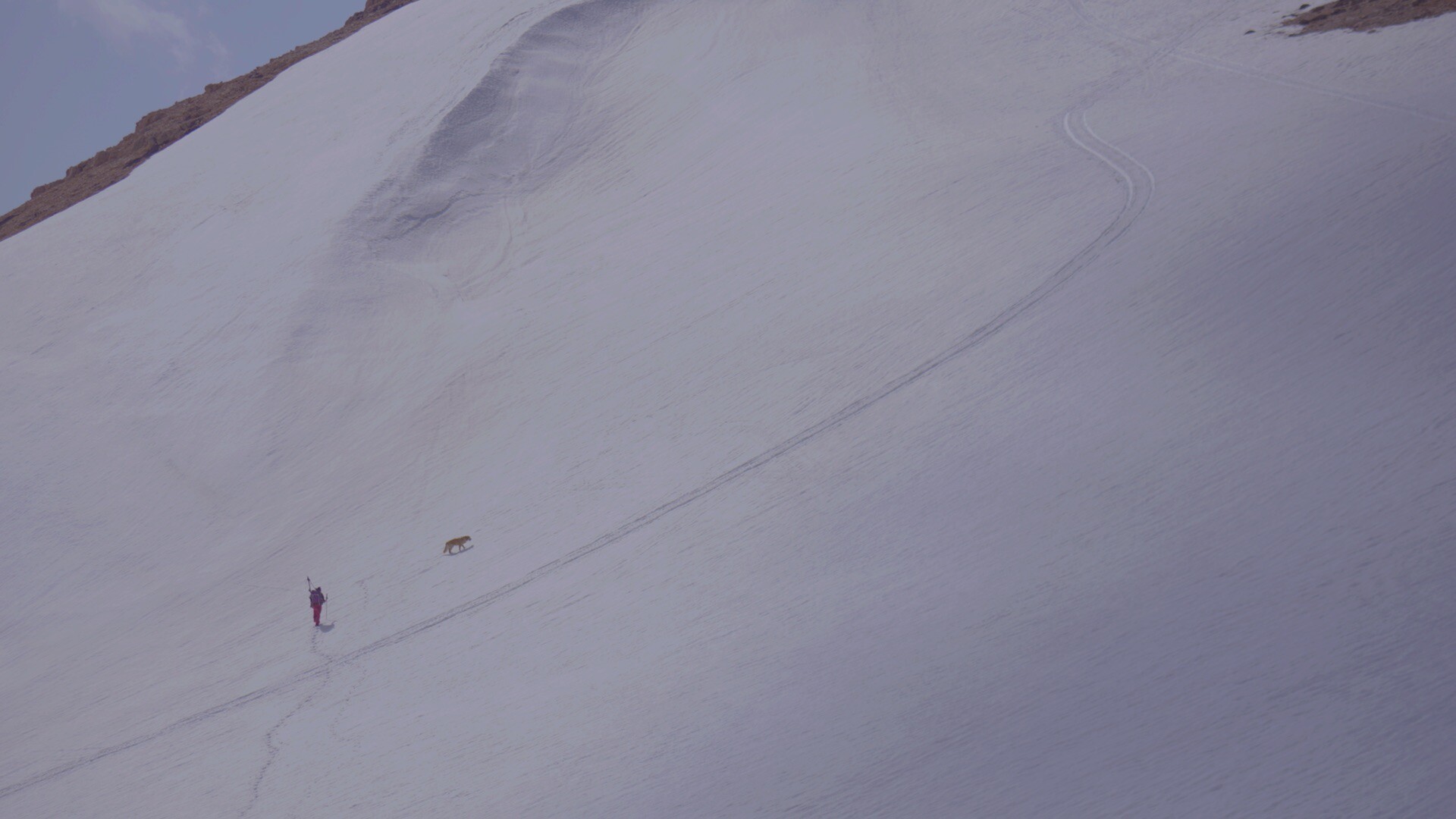 BİFED’de Cuma: Bugün neler var?