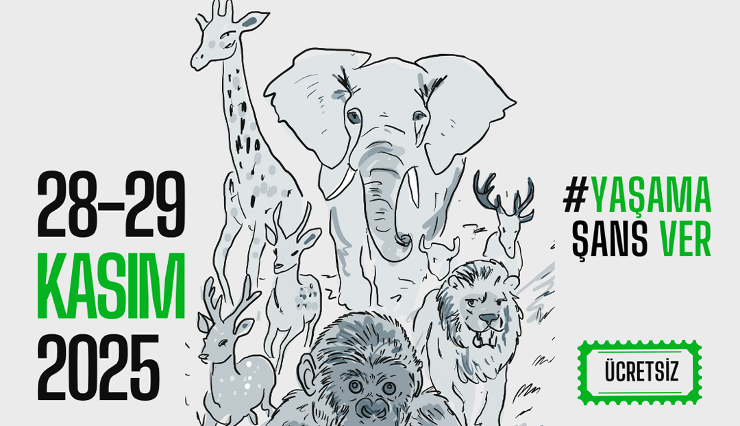 8. Uluslararası İstanbul Vegfest, başladı!