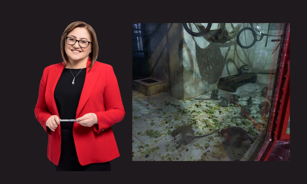 Gaziantep Büyükşehir Belediyesi ve Başkanı Fatma Şahin’e Açık Çağrı: Hayvanat Bahçesindeki koşullar hakkında acil açıklama bekliyoruz!