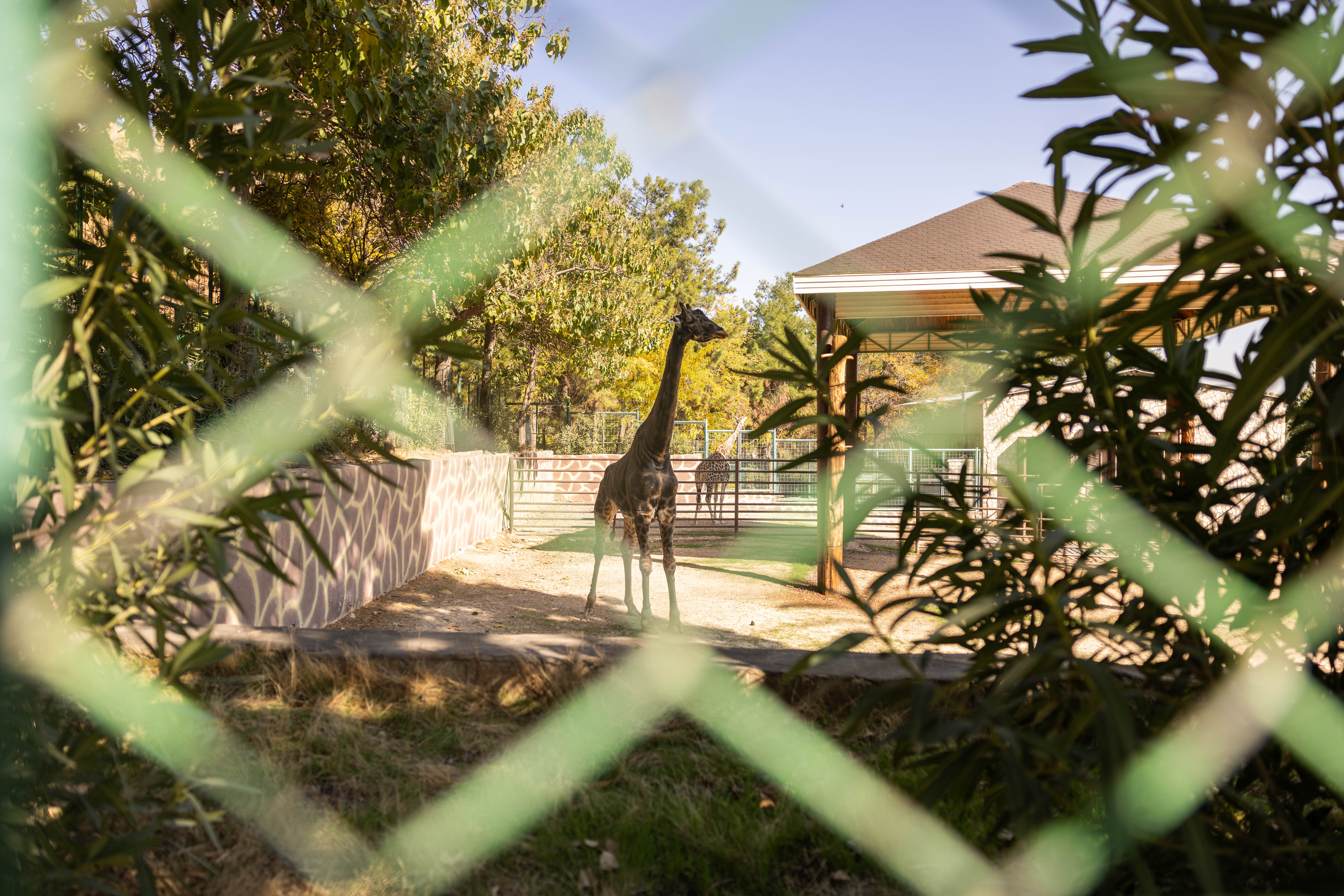 Gaziantep Belediyesi Hayvanat Bahçesi dosyası