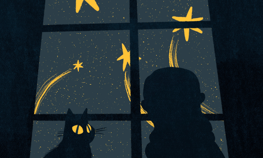 Karanlık bir odada, pencereden görünen gece gökyüzü sarı yıldızlarla dolu. Pencerenin önünde bir çocuk ve bir kedi yan yana duruyor, ikisi de dışarıyı izliyor. İçerideki sessizlik ile dışarıdaki sonsuzluk duygusu birbirine karışıyor.