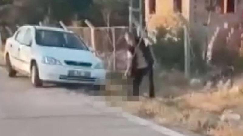 Dirgenle yavru köpek öldürürken ‘devlet yasa çıkardı’ diyen Aksoy’a “cezai ehliyeti yok” kararı!