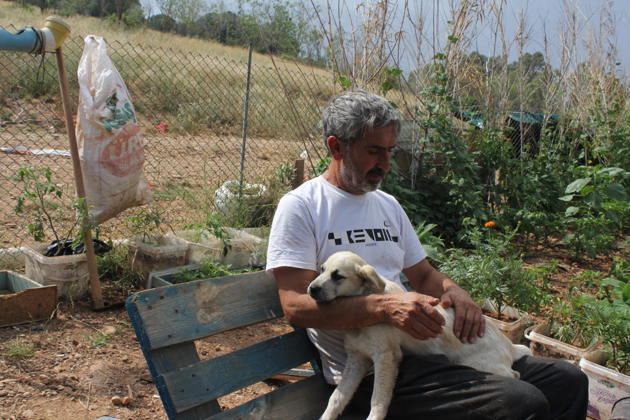 Kampüsün “Öksüz Köyü”: Çukurova Üniversitesi’nde bir yaşam alanı modeli