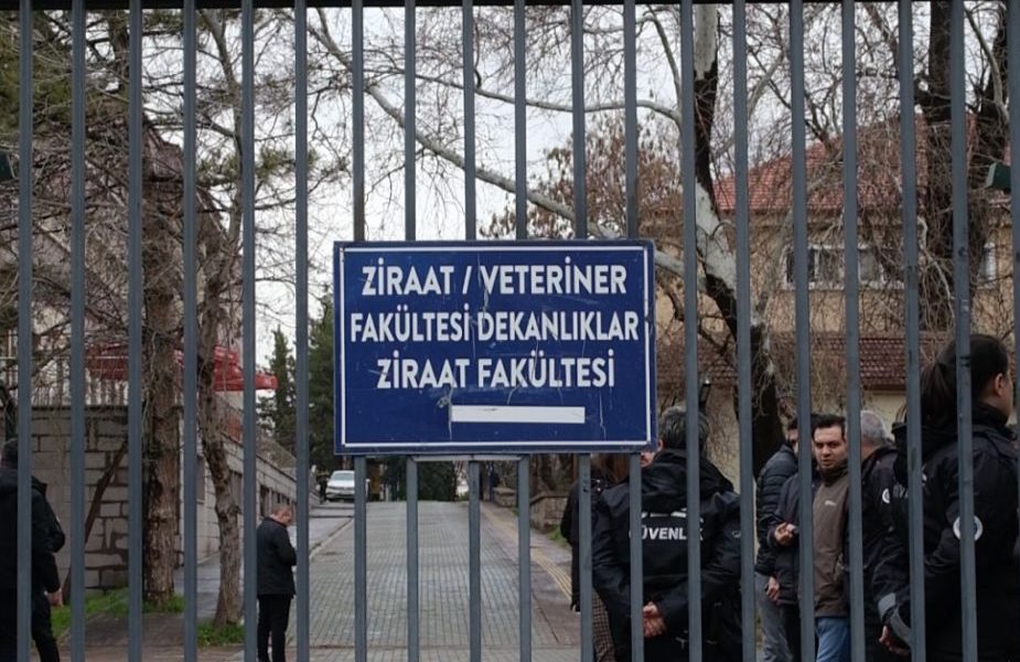 Ankara Üniversitesi’nin hayvan sakinleri ani bir kararla toplatıldı!