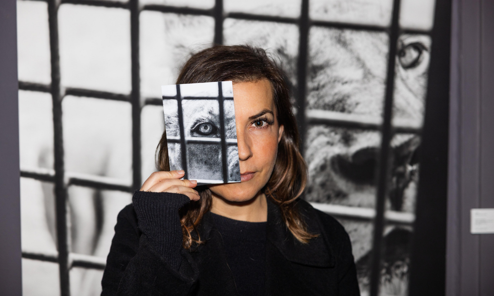 Deniz Tapkan “Hayvanat Konuşma Dizisi”nde